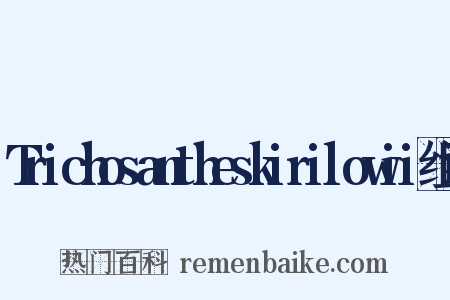 Trichosantheskirilowii组词是什么意思的图片